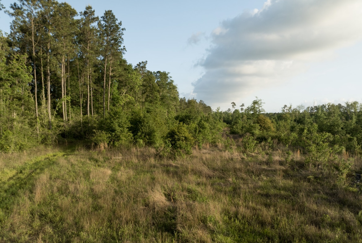 Dickerson Road Tract in Beauregard Parish, LA