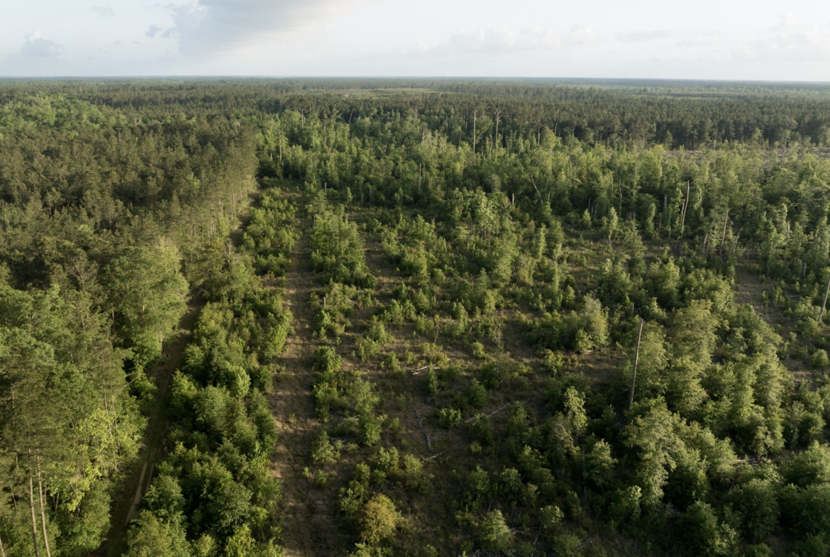 Dickerson Road Tract in Beauregard Parish, LA
