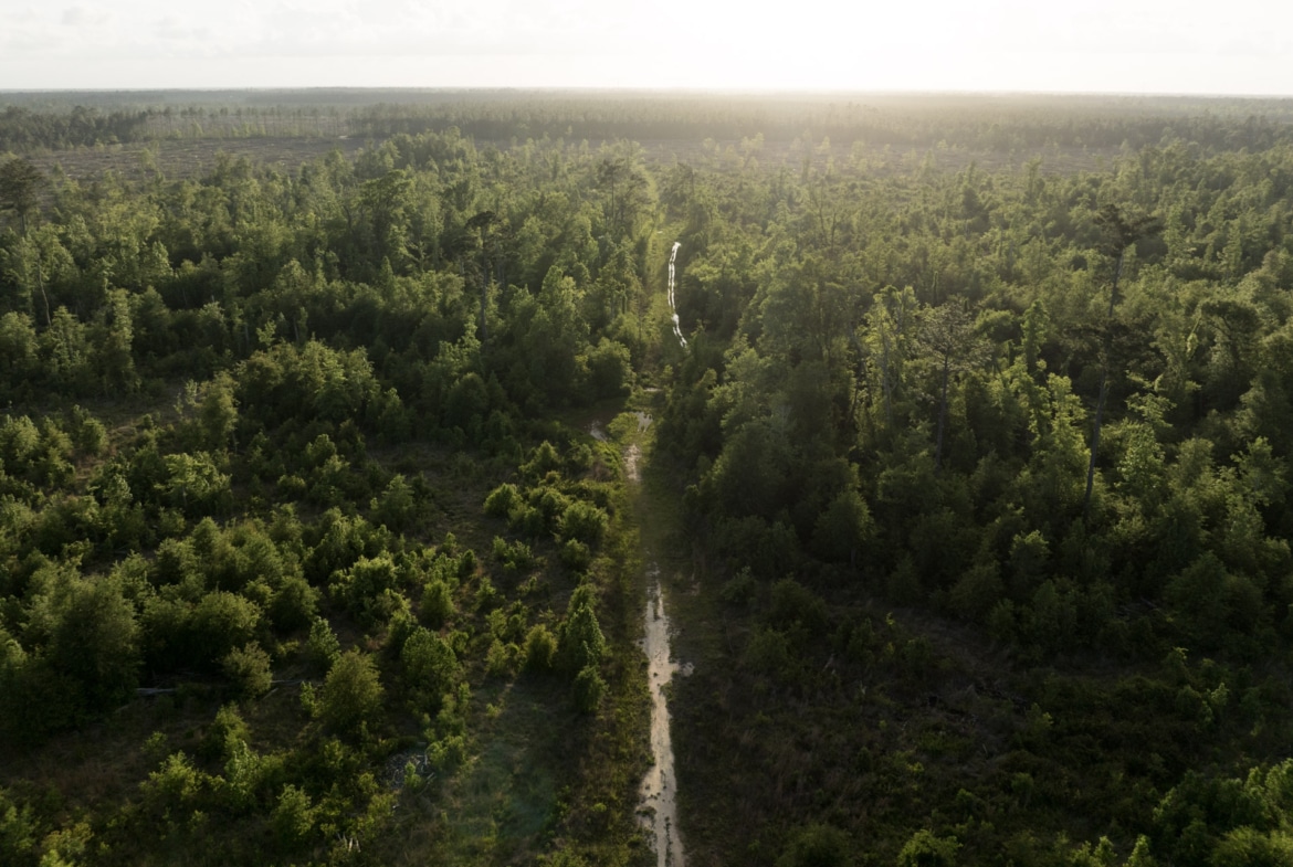 Dickerson Road Tract in Beauregard Parish, LA