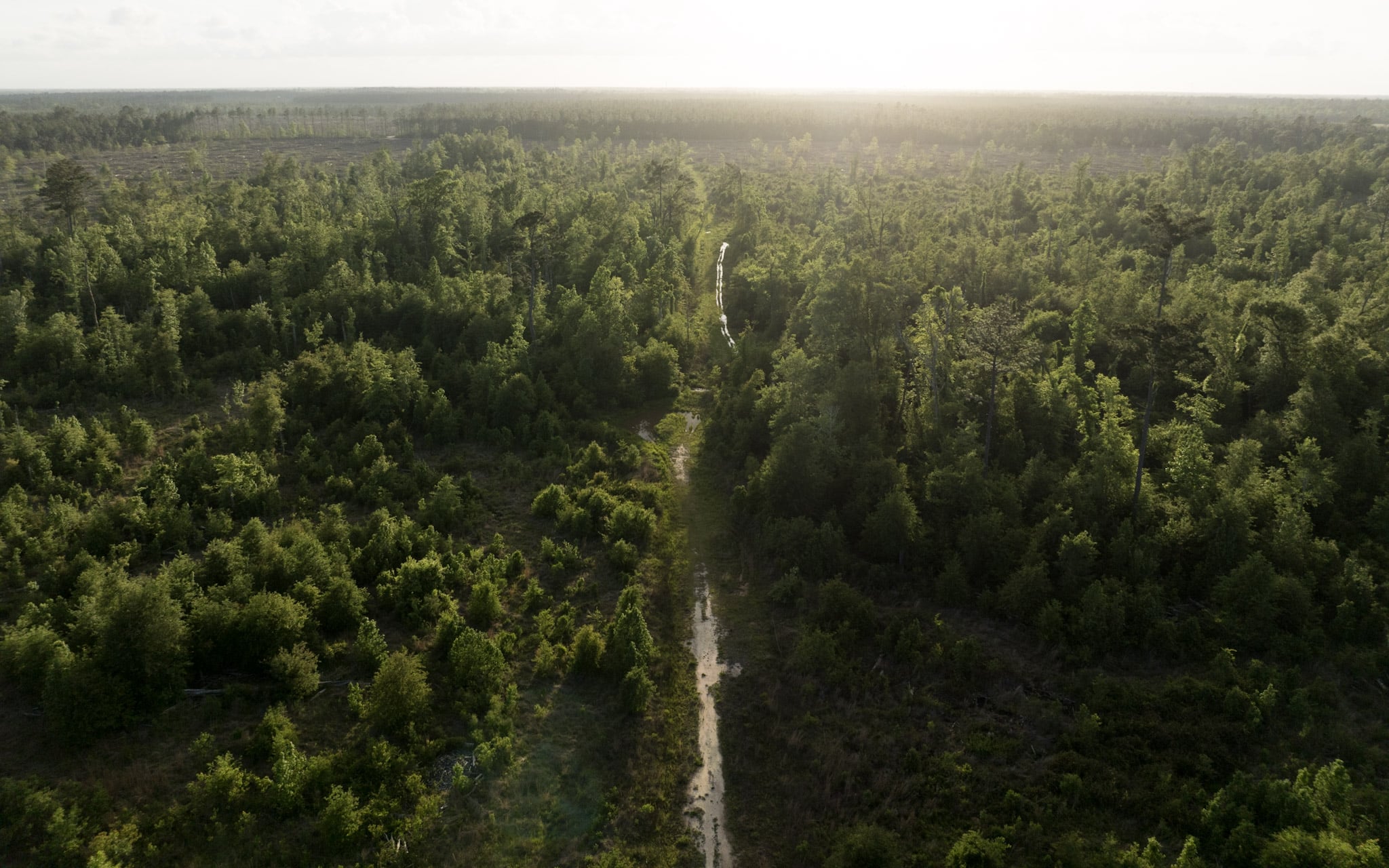 Dickerson Road Tract in Beauregard Parish, LA