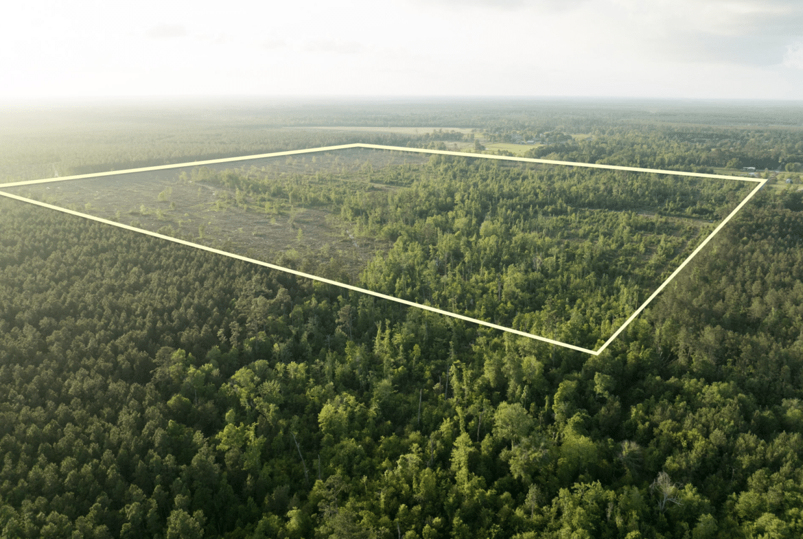 Dickerson Road Tract in Beauregard Parish, LA