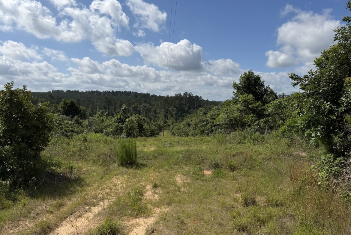 Jackson Lake Tract - Land for sale in Rusk County, TX