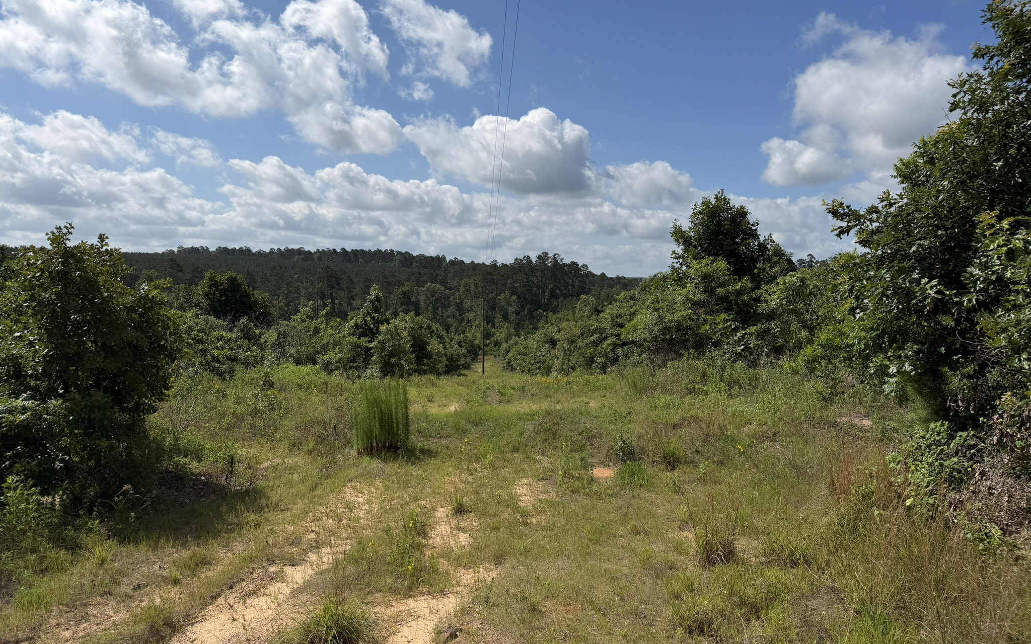 Jackson Lake Tract - Land for sale in Rusk County, TX