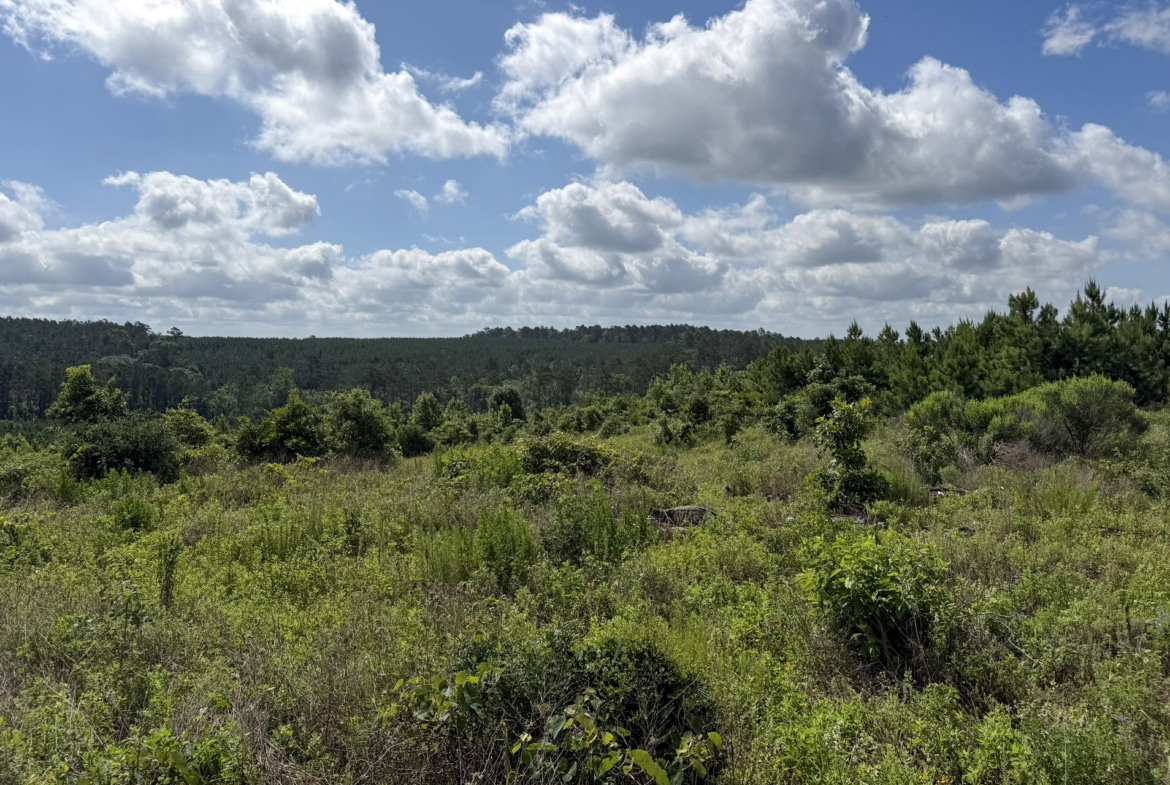 Jackson Lake Tract - Land for sale in Rusk County, TX