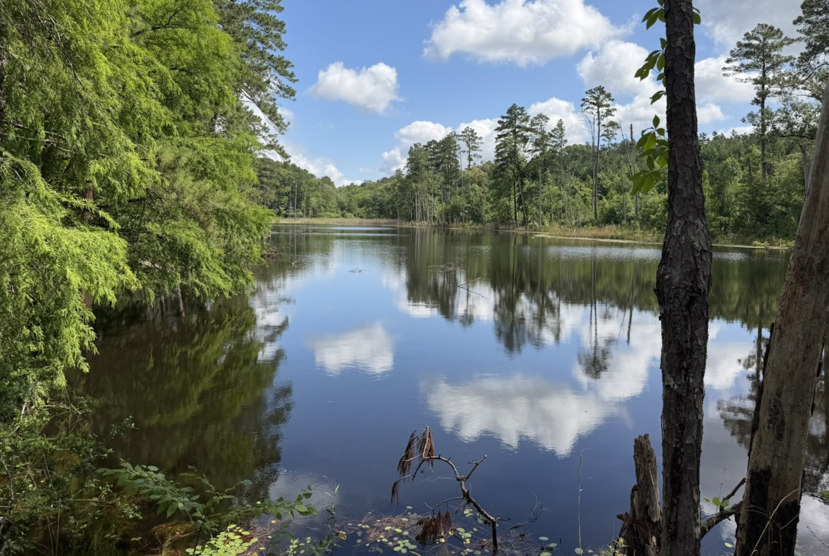 Jackson Lake Tract - Land for sale in Rusk County, TX