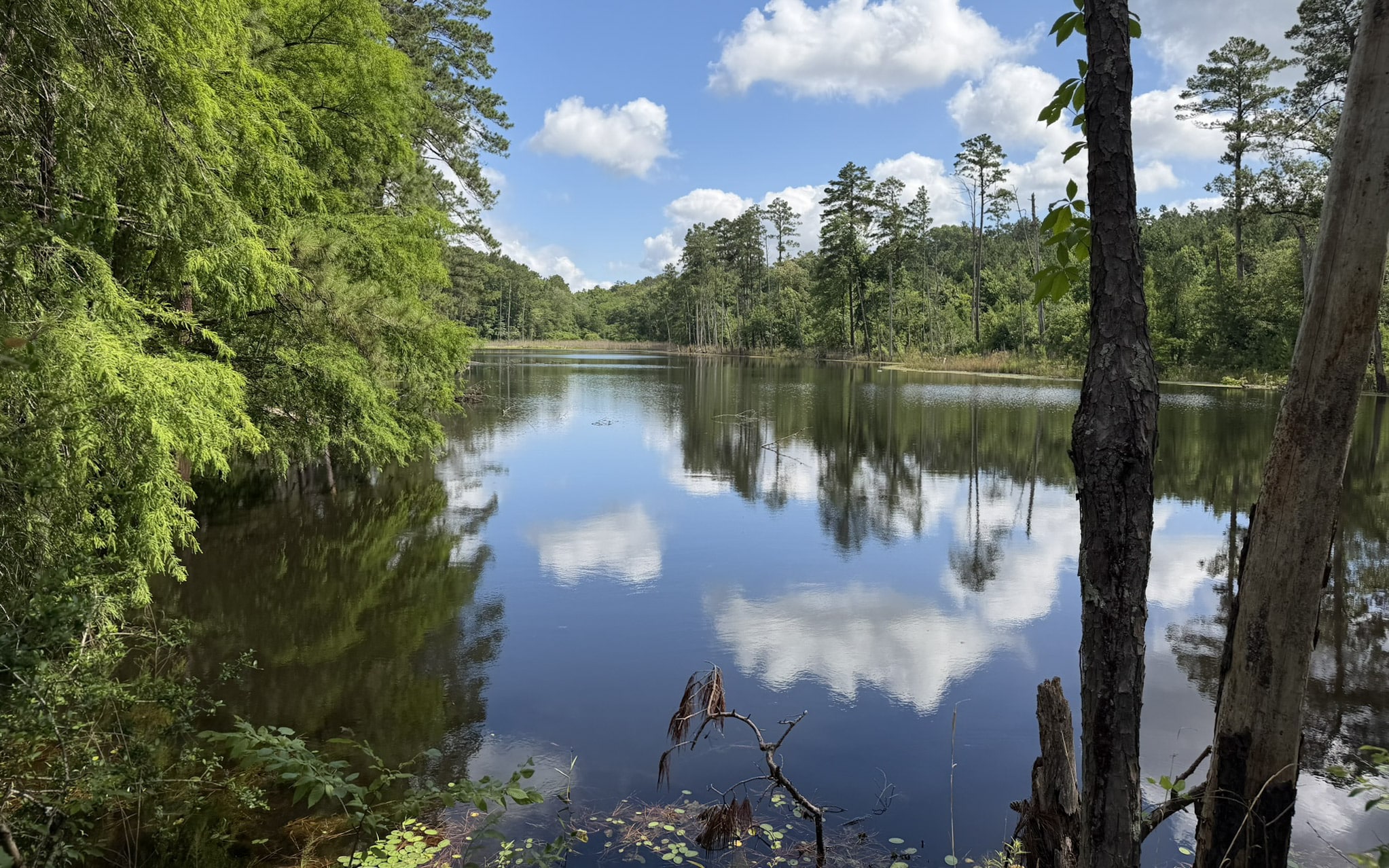 Jackson Lake Tract - Land for sale in Rusk County, TX