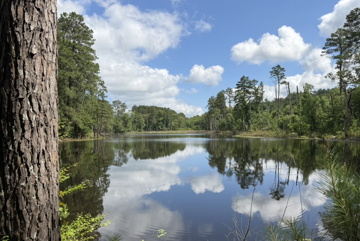 Jackson Lake Tract - Land for sale in Rusk County, TX