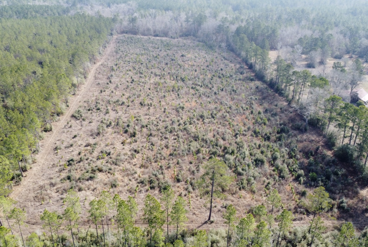 Hart Road - Land for sale in Beauregard Parish, LA