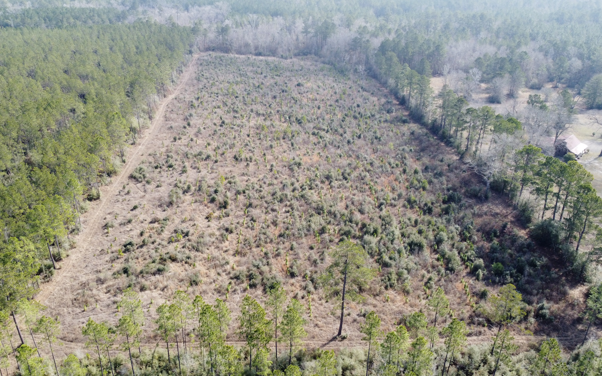 Hart Road - Land for sale in Beauregard Parish, LA