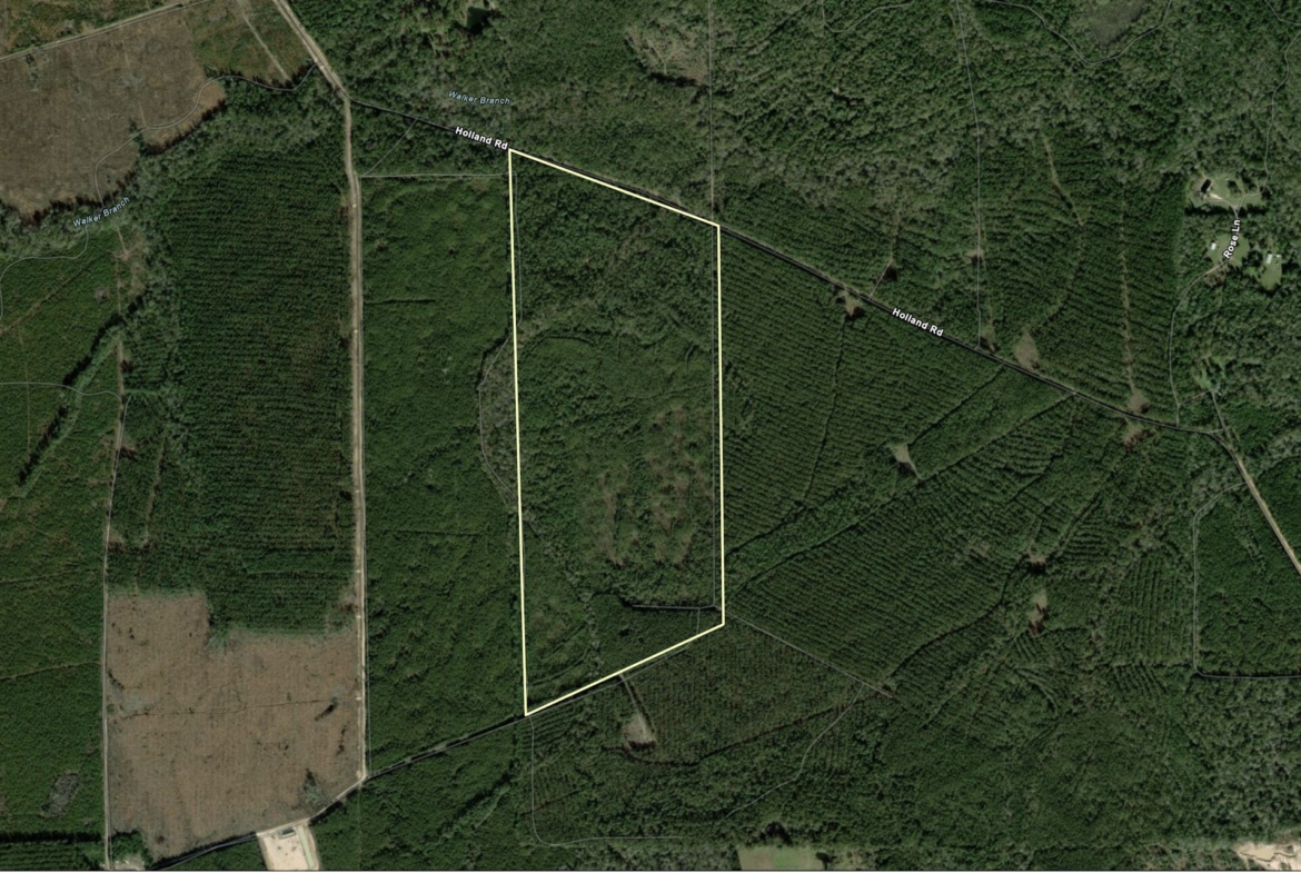 Holland Road Hideout - Land for sale in Hardin County, TX