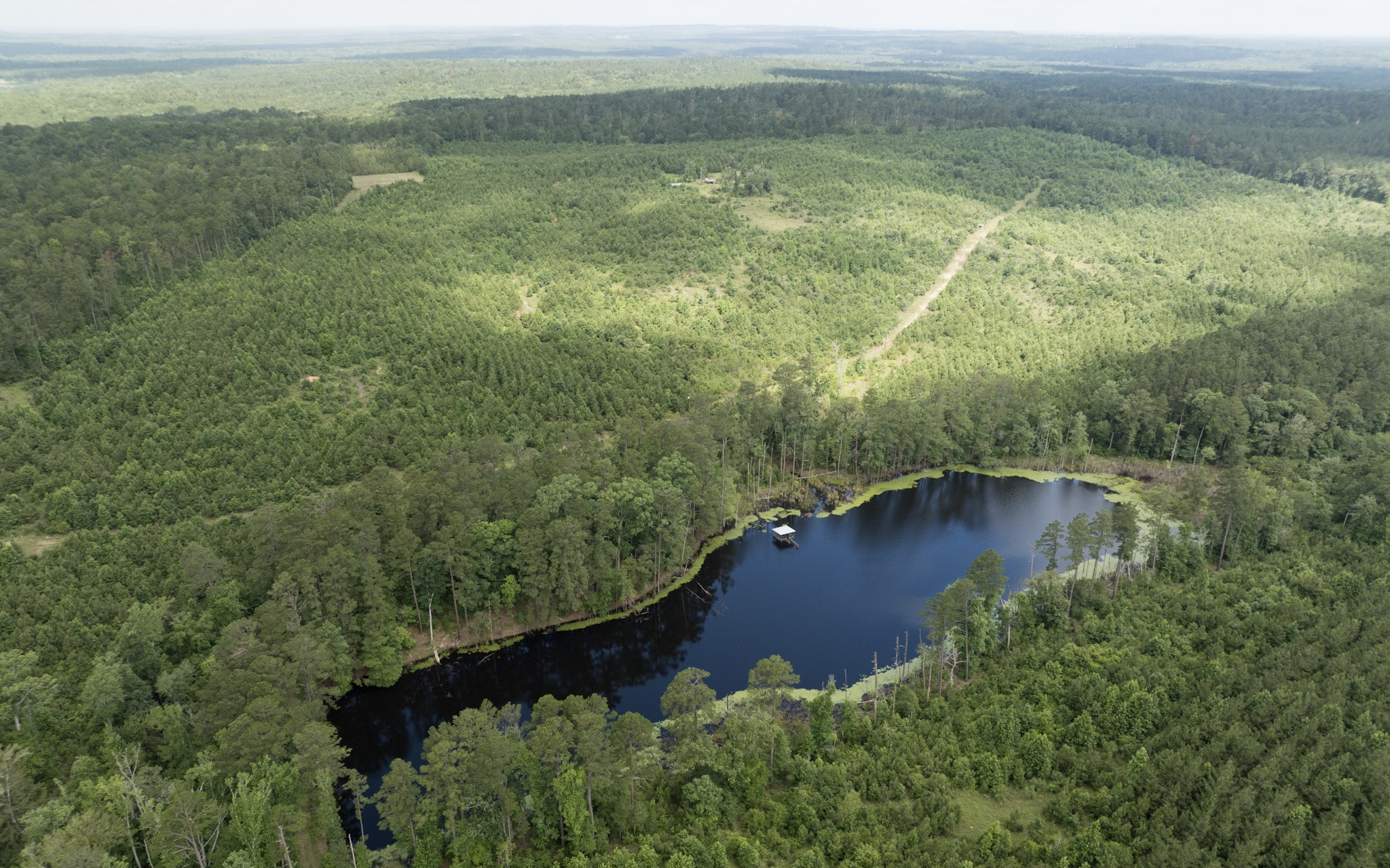 Jackson Lake Tract - Land for sale in Rusk County, TX