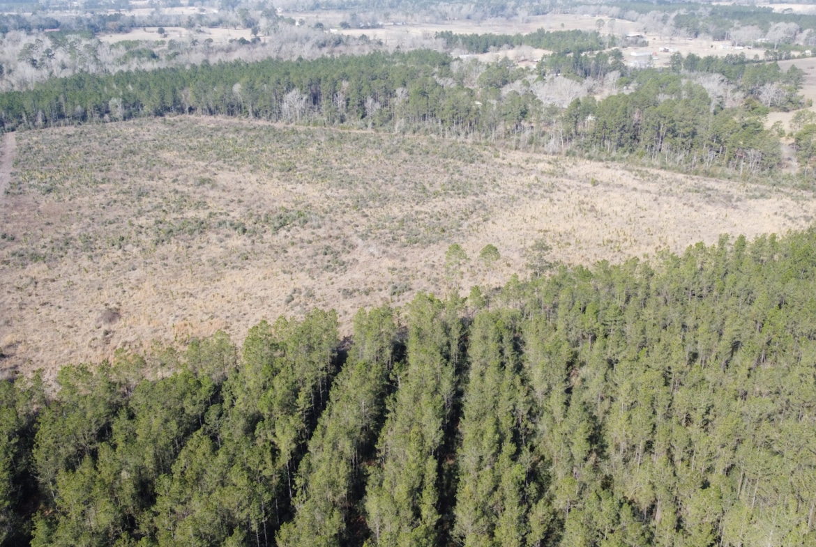 Hart Road - Land for sale in Beauregard Parish, LA
