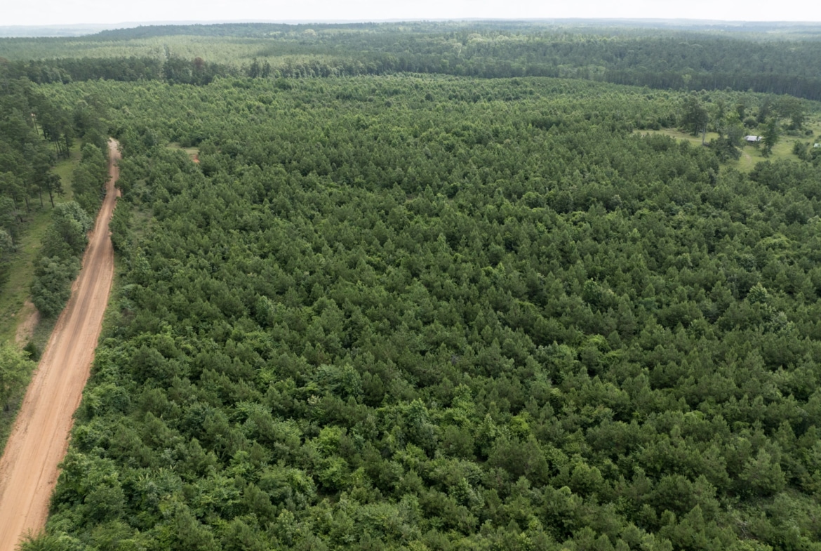 Jackson Lake Tract - Land for sale in Rusk County, TX