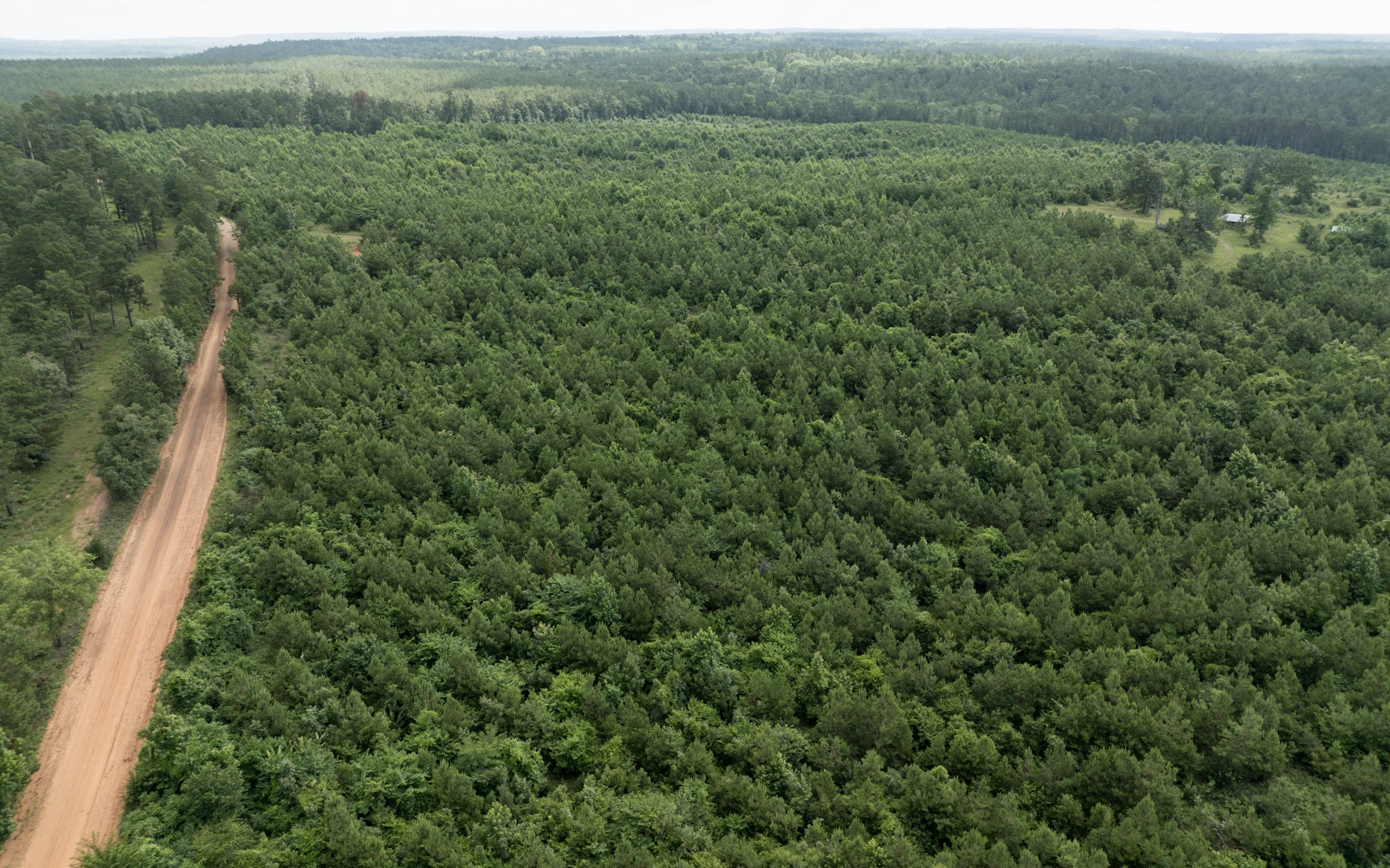 Jackson Lake Tract - Land for sale in Rusk County, TX