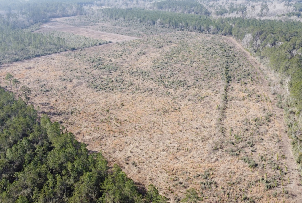 Hart Road - Land for sale in Beauregard Parish, LA