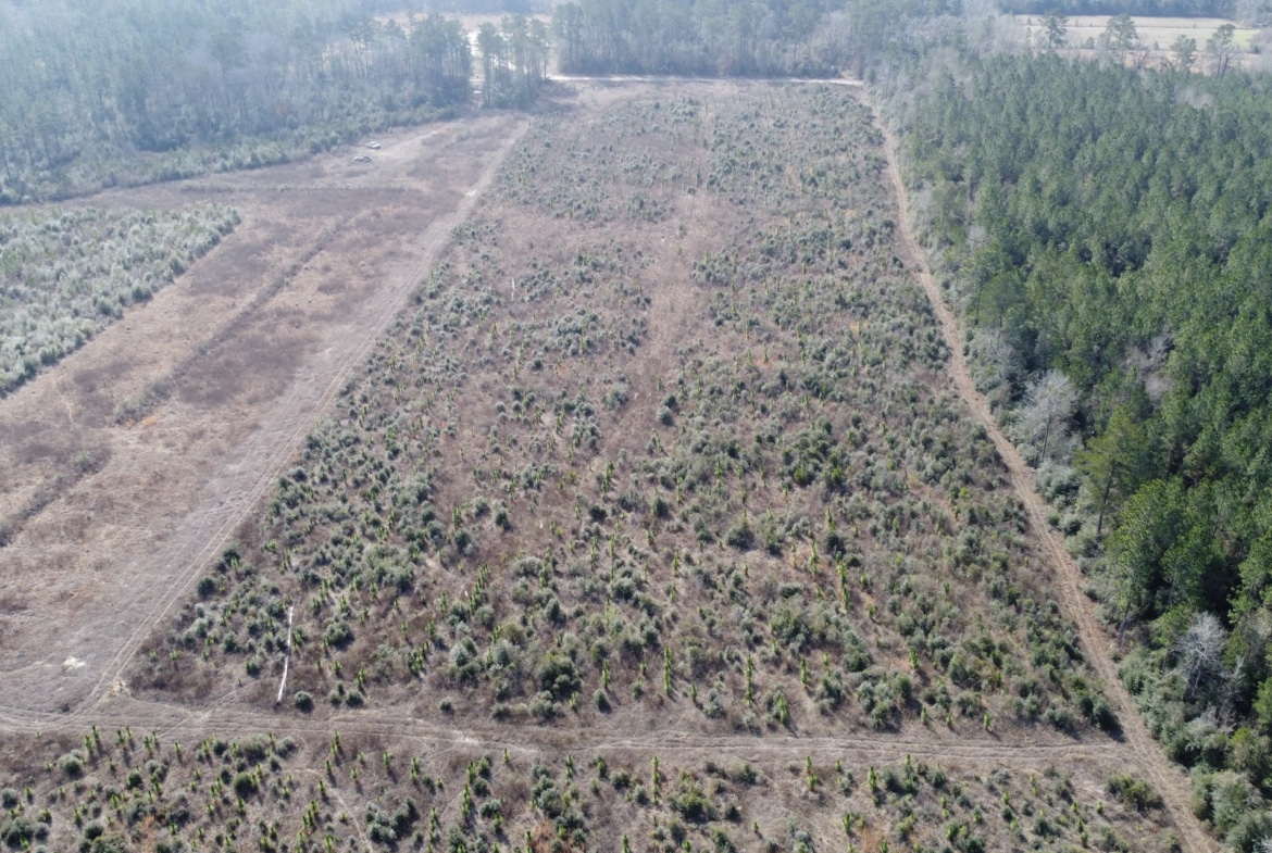 Hart Road - Land for sale in Beauregard Parish, LA