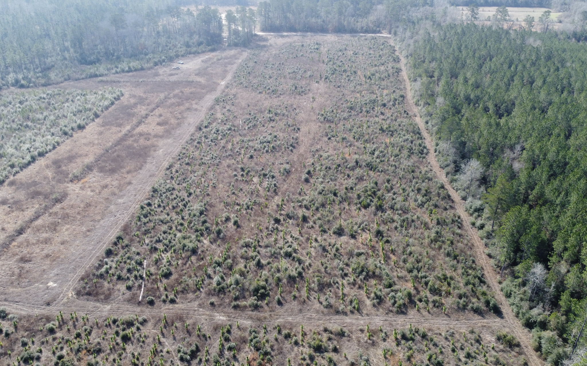 Hart Road - Land for sale in Beauregard Parish, LA