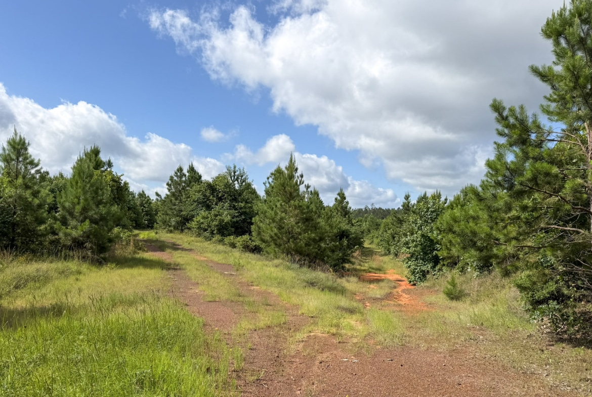 Jackson Lake Tract - Land for sale in Rusk County, TX