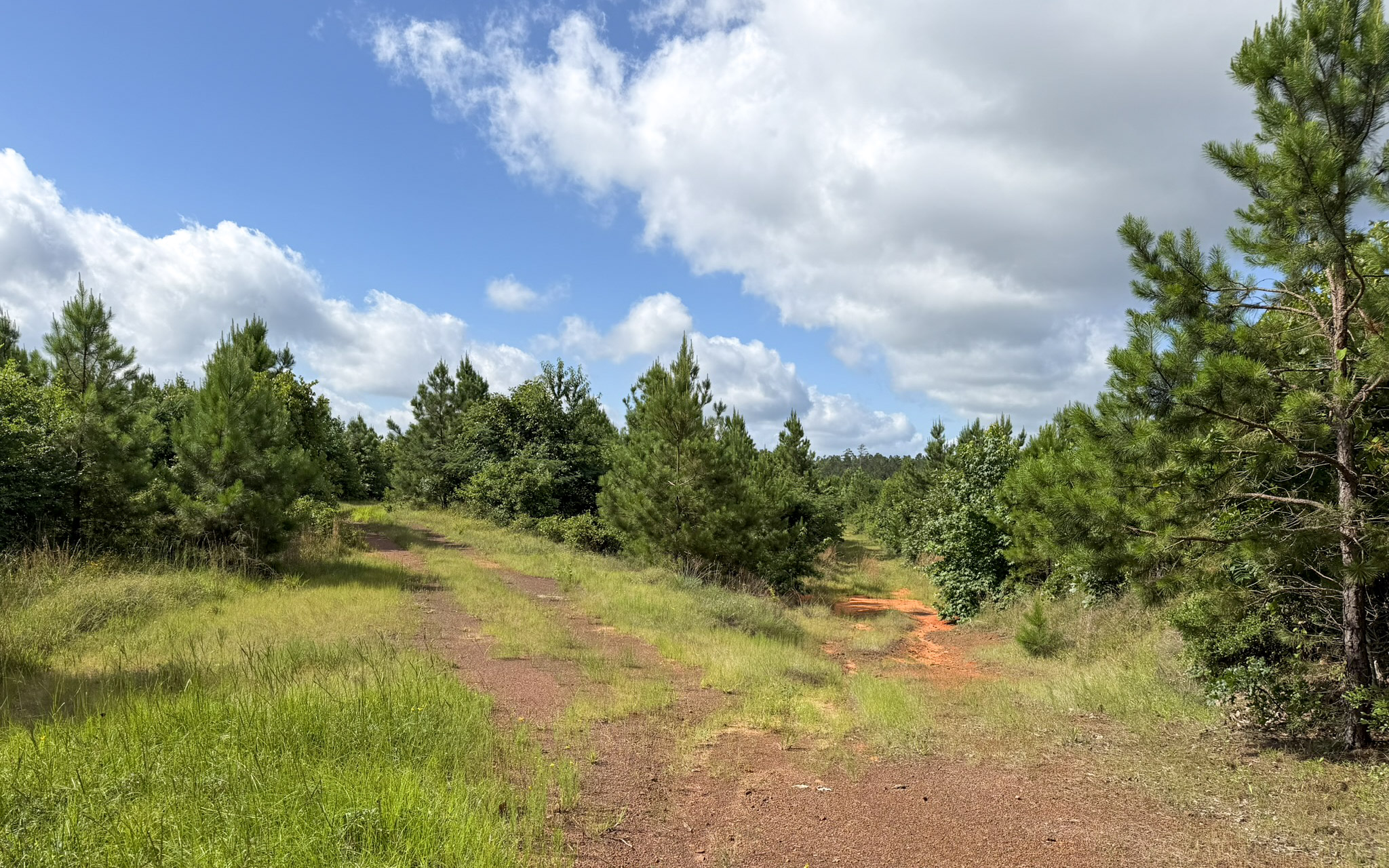 Jackson Lake Tract - Land for sale in Rusk County, TX