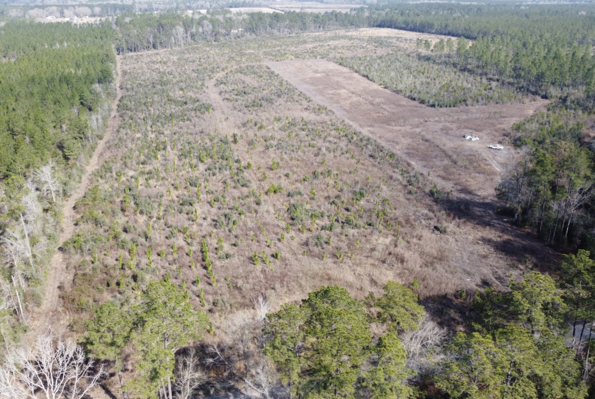 Hart Road - Land for sale in Beauregard Parish, LA
