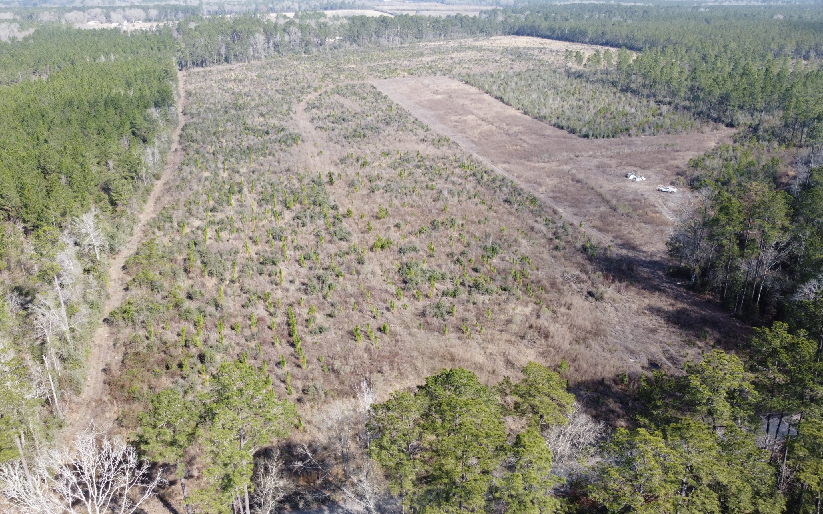 Hart Road - Land for sale in Beauregard Parish, LA