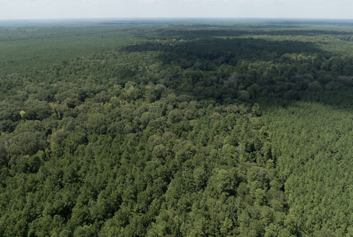 Land for sale near Turkey Creek, LA in Evangeline Parish