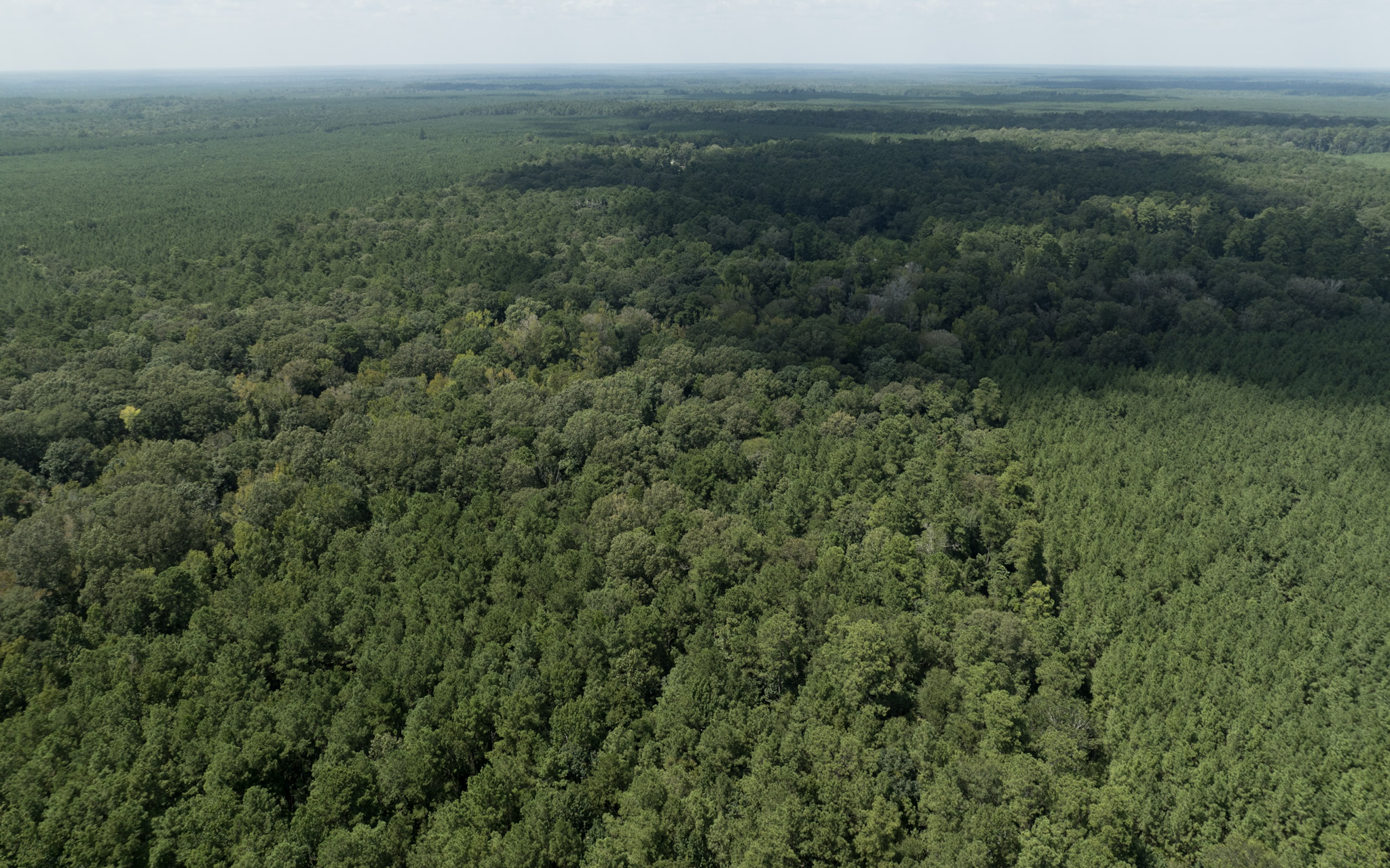 Land for sale near Turkey Creek, LA in Evangeline Parish