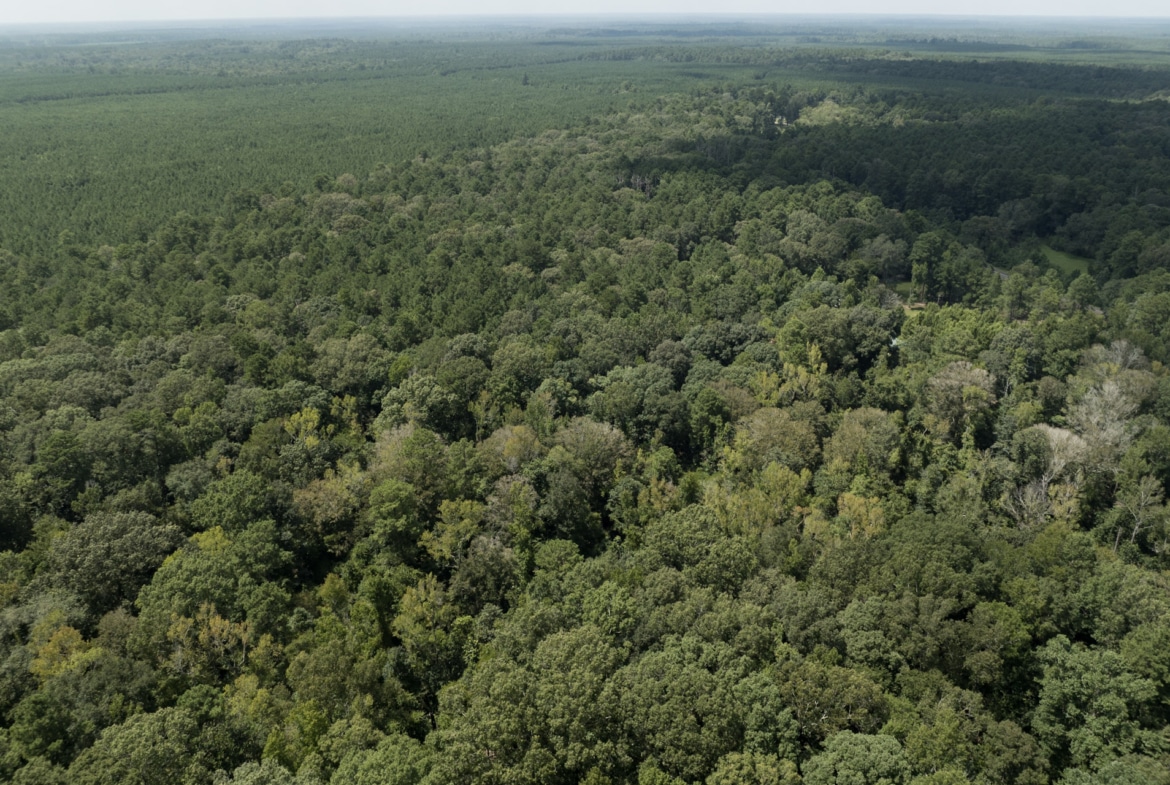 Land for sale near Turkey Creek, LA in Evangeline Parish