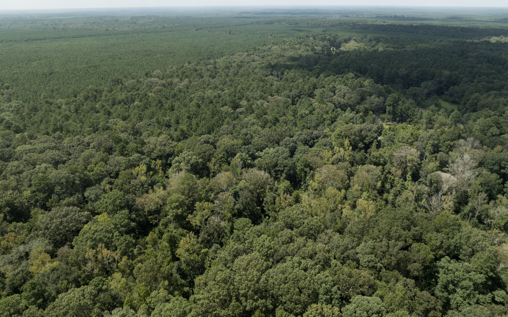 Land for sale near Turkey Creek, LA in Evangeline Parish