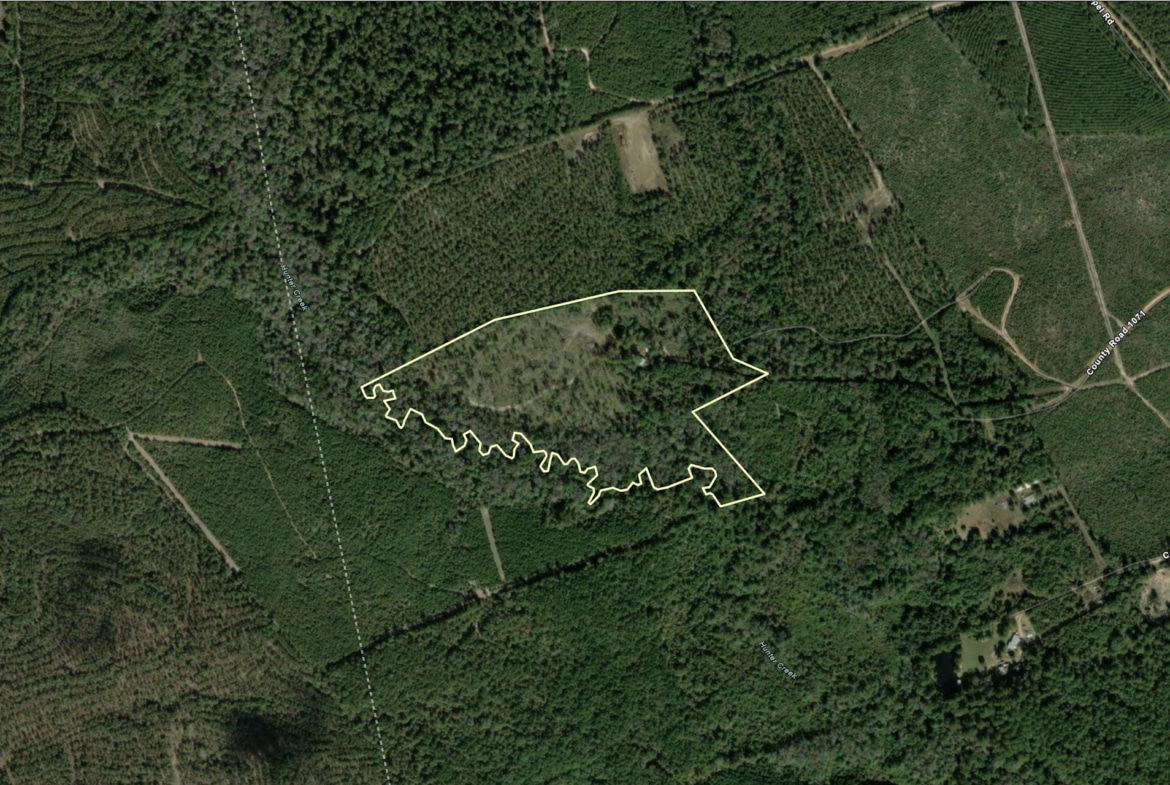 Hunting land for sale in Newton County, TX