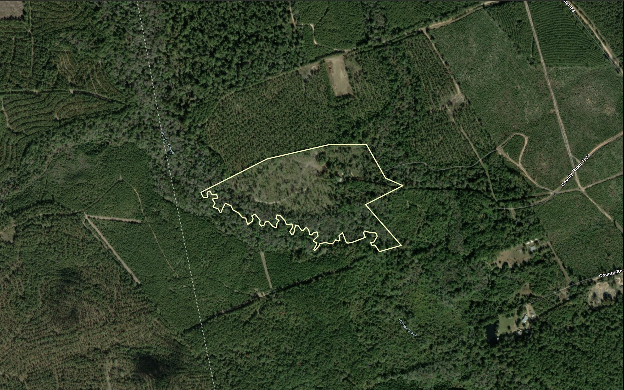 Hunting land for sale in Newton County, TX