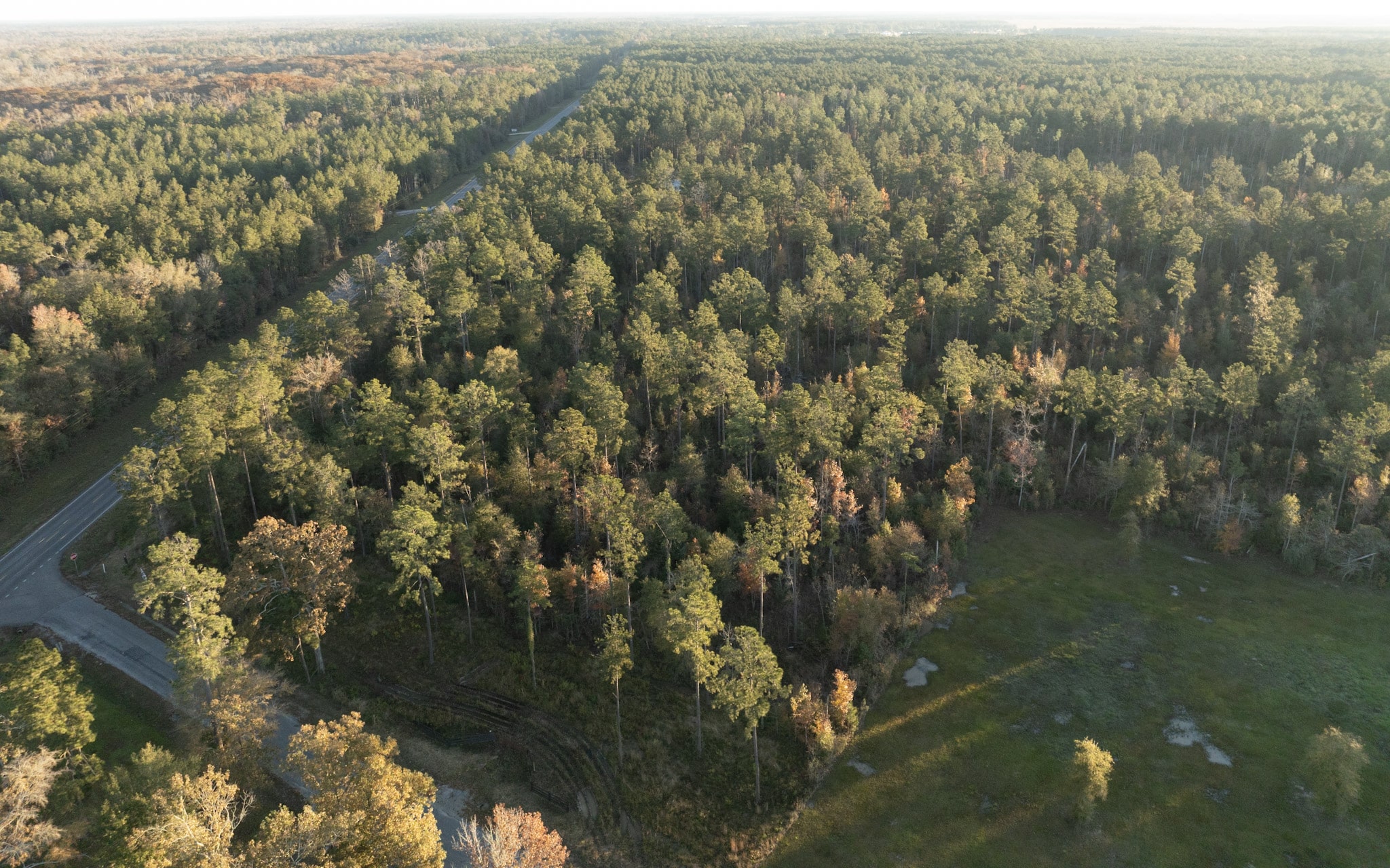 Mallard Farms - Lot 3 & 4 in Kinder, LA