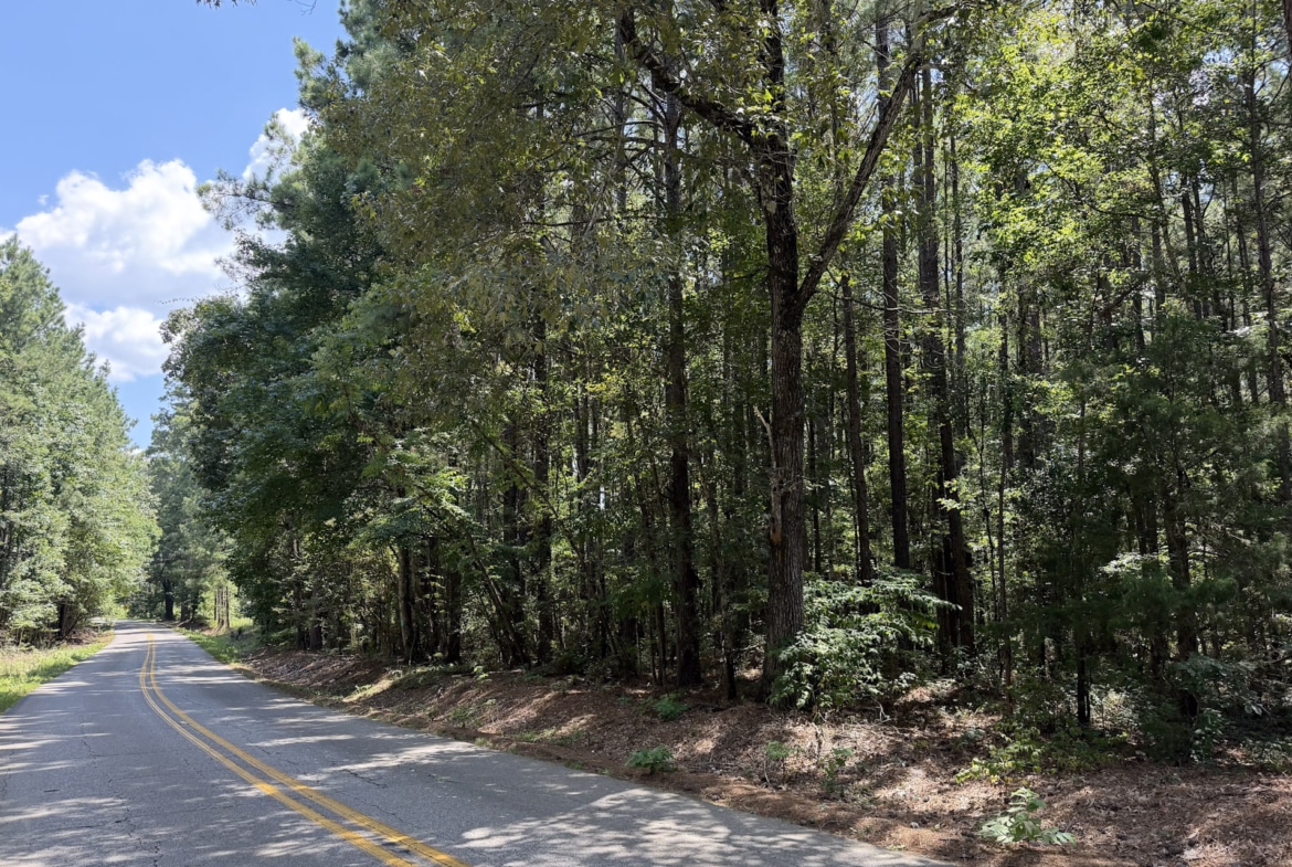Land for sale near Turkey Creek, LA in Evangeline Parish