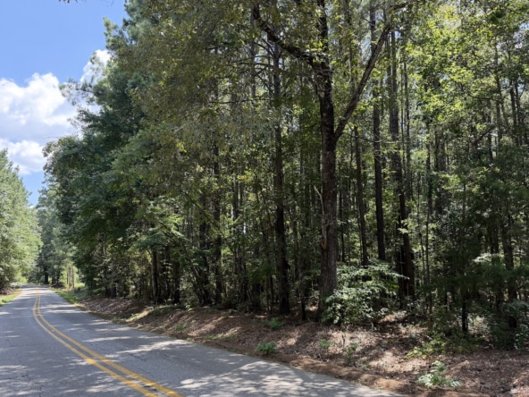 Land for sale near Turkey Creek, LA in Evangeline Parish