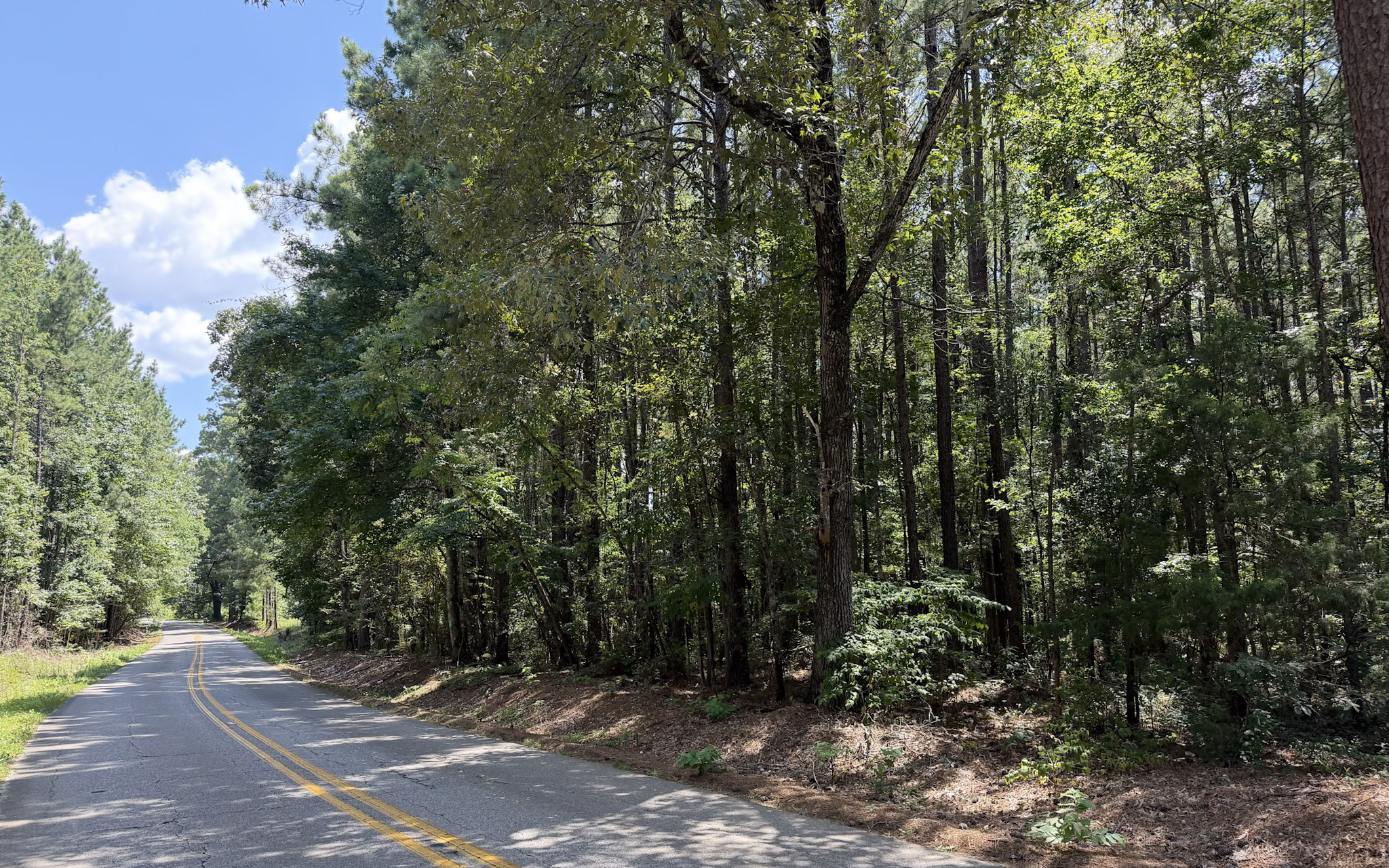 Land for sale near Turkey Creek, LA in Evangeline Parish
