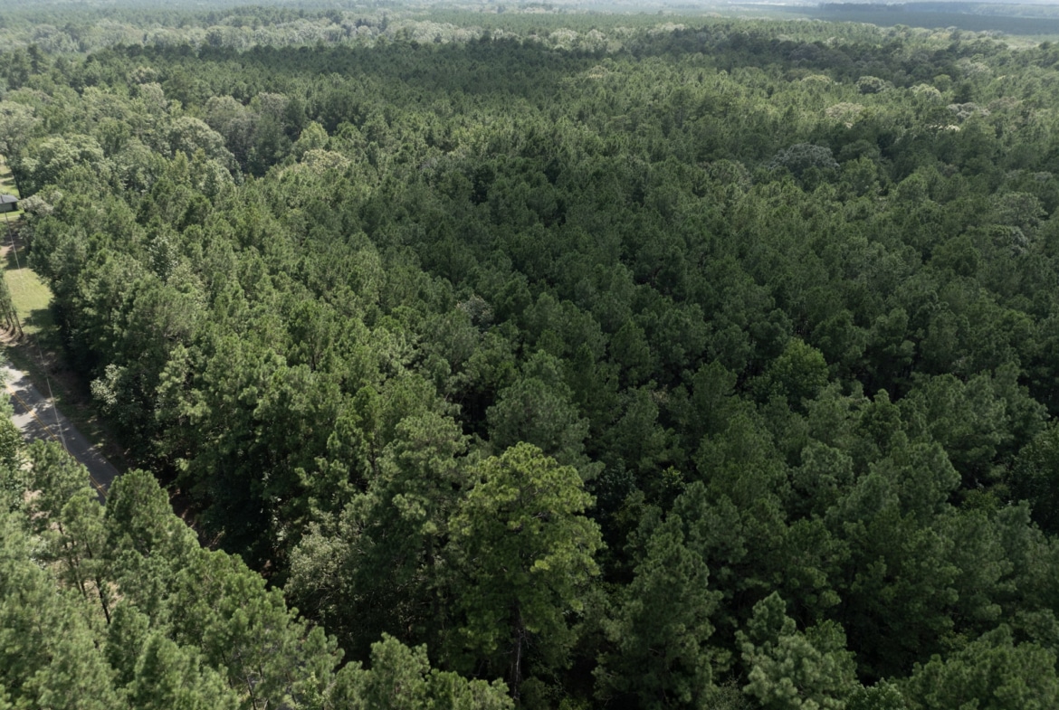 Land for sale near Turkey Creek, LA in Evangeline Parish