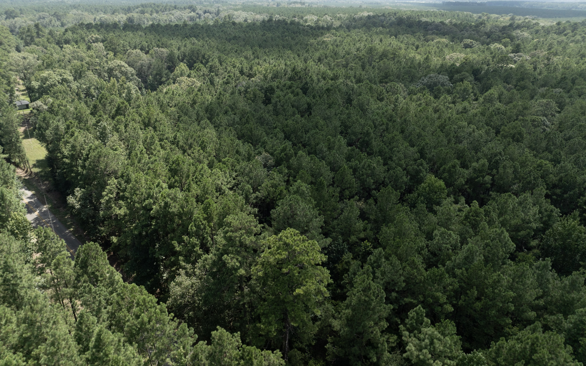 Land for sale near Turkey Creek, LA in Evangeline Parish