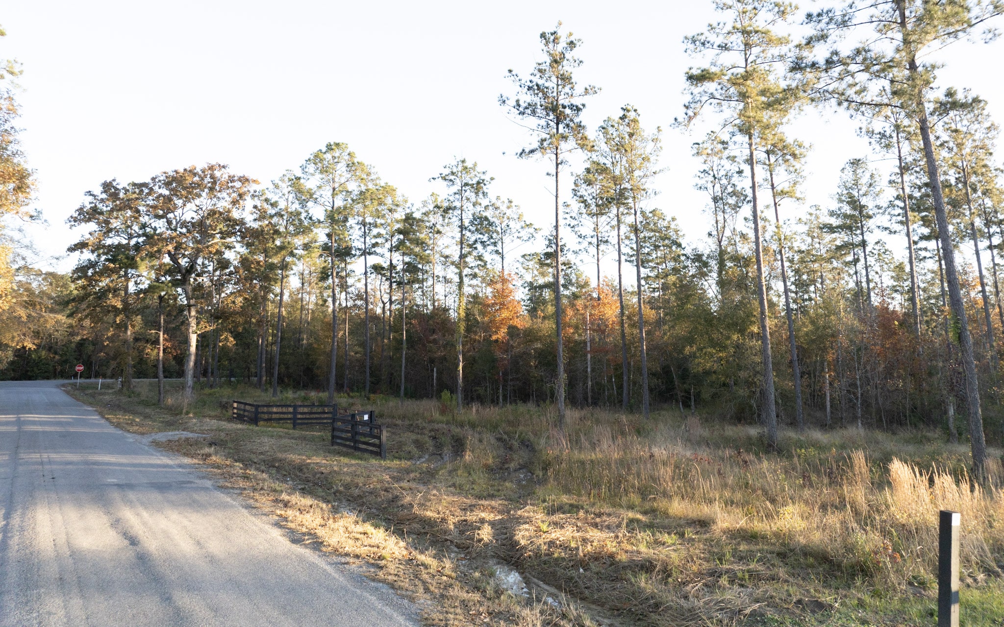 Mallard Farms - Lot 3 & 4 in Kinder, LA
