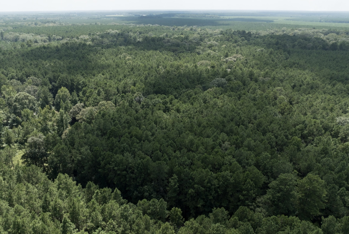 Land for sale near Turkey Creek, LA in Evangeline Parish