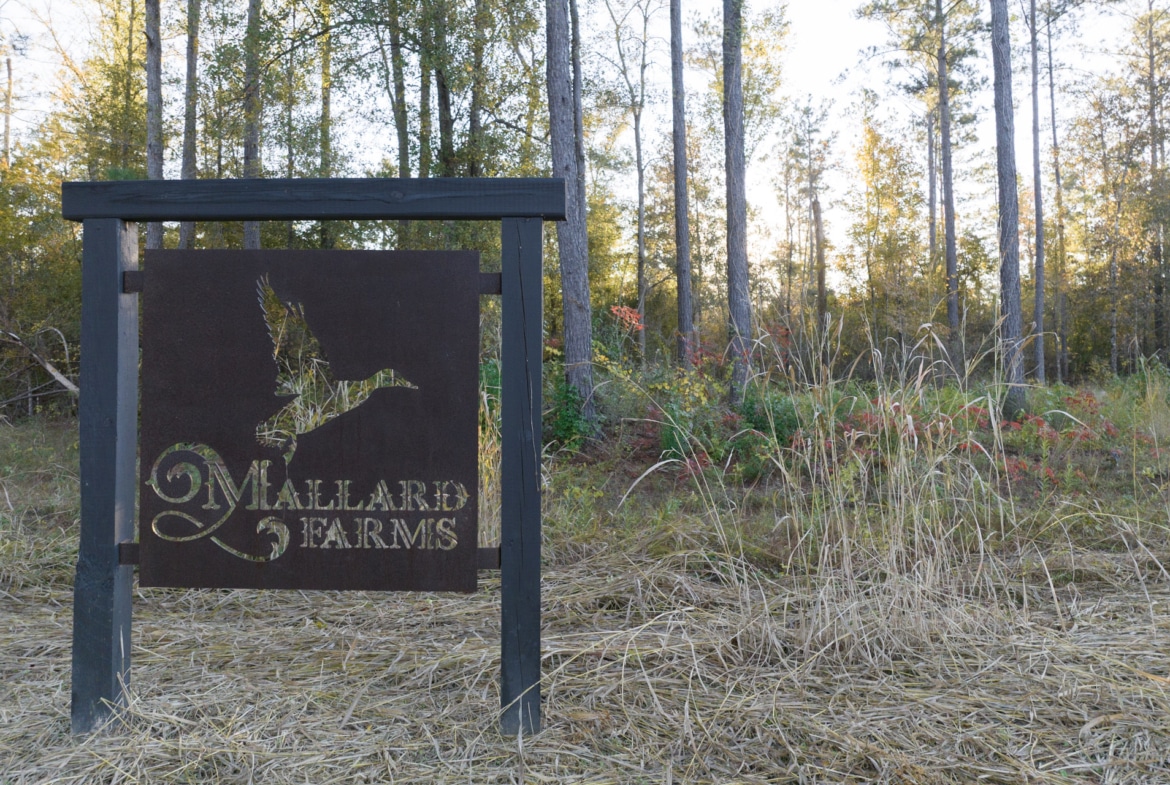 Mallard Farms - Lot 3 & 4 in Kinder, LA