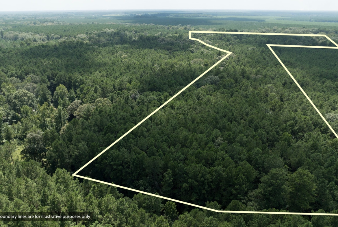 Land for sale near Turkey Creek, LA in Evangeline Parish