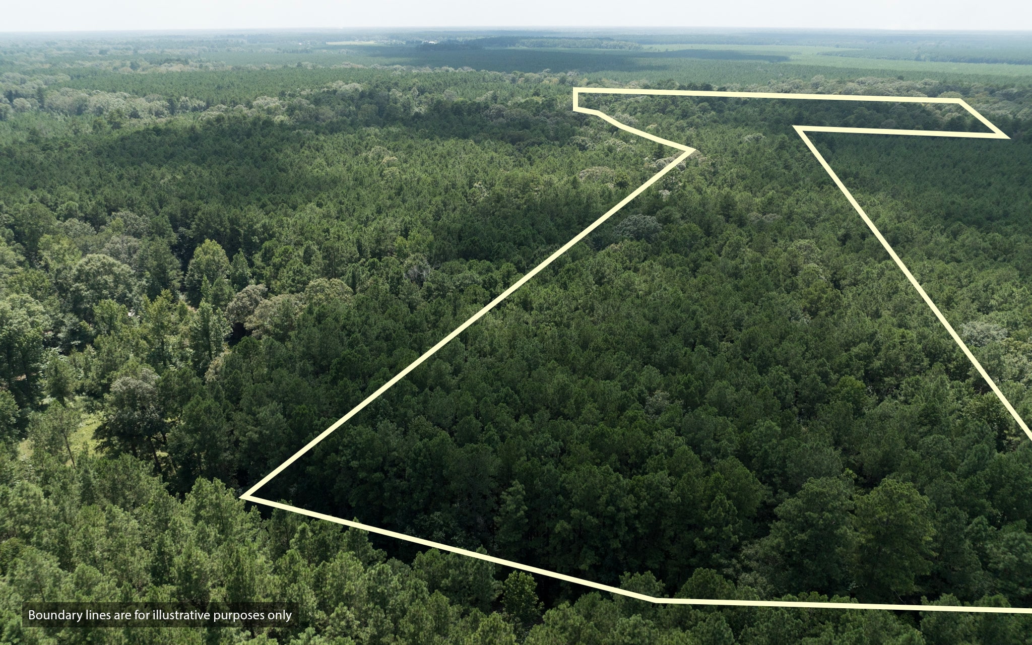Land for sale near Turkey Creek, LA in Evangeline Parish