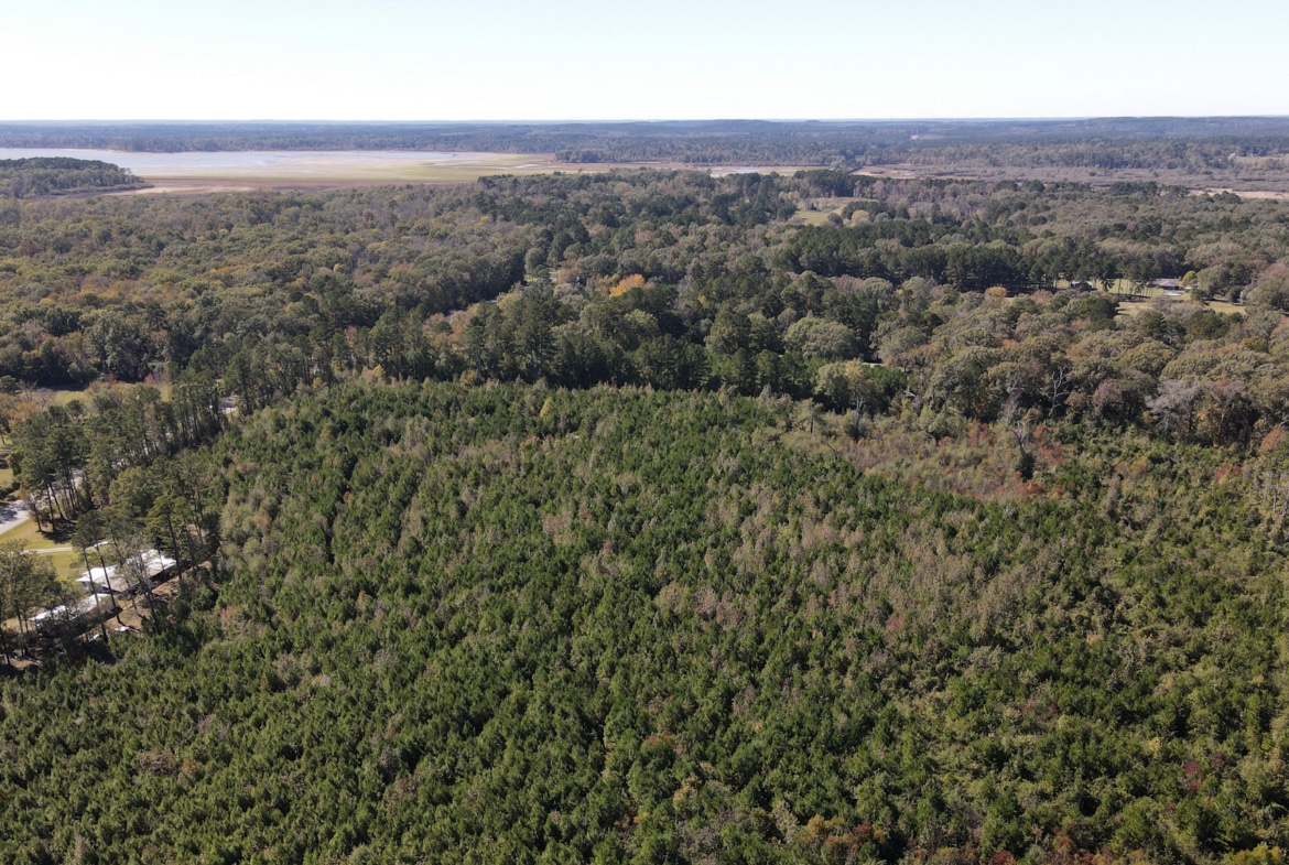 Hwy 103 - 36.93 Acres of land for sale in San Augustine County, TX