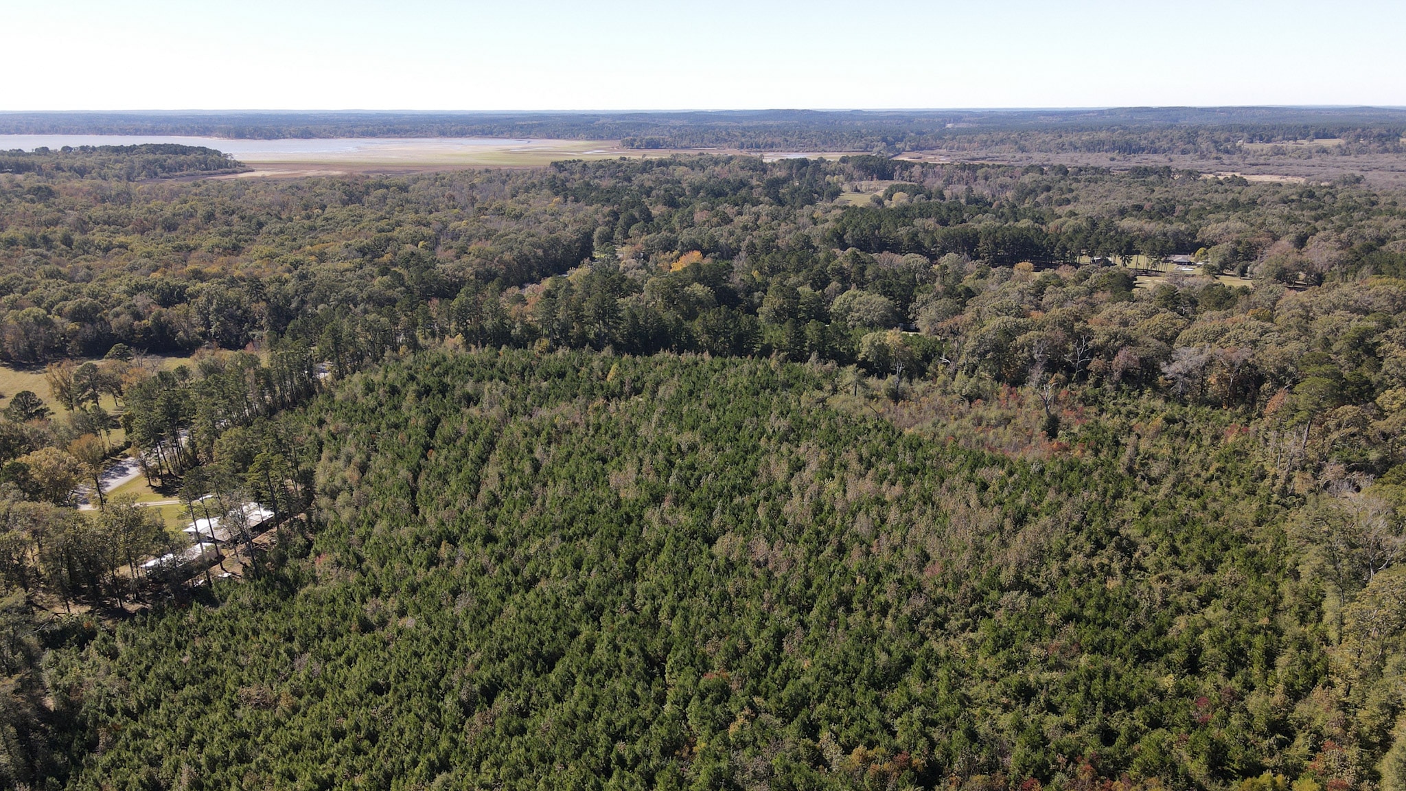 Hwy 103 - 36.93 Acres of land for sale in San Augustine County, TX