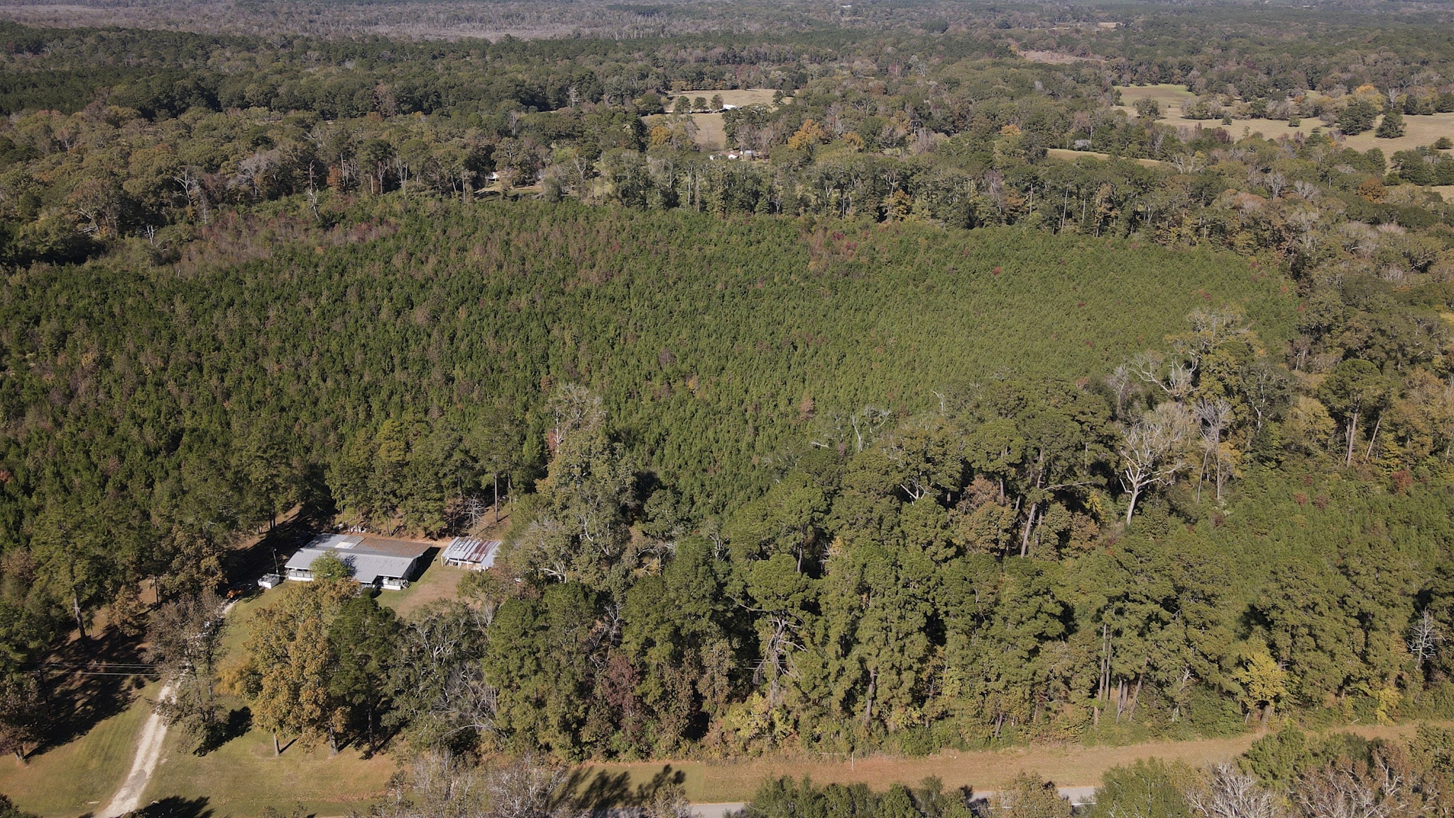 Hwy 103 - 36.93 Acres of land for sale in San Augustine County, TX