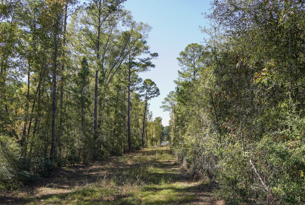 Hwy 103 - 36.93 Acres of land for sale in San Augustine County, TX