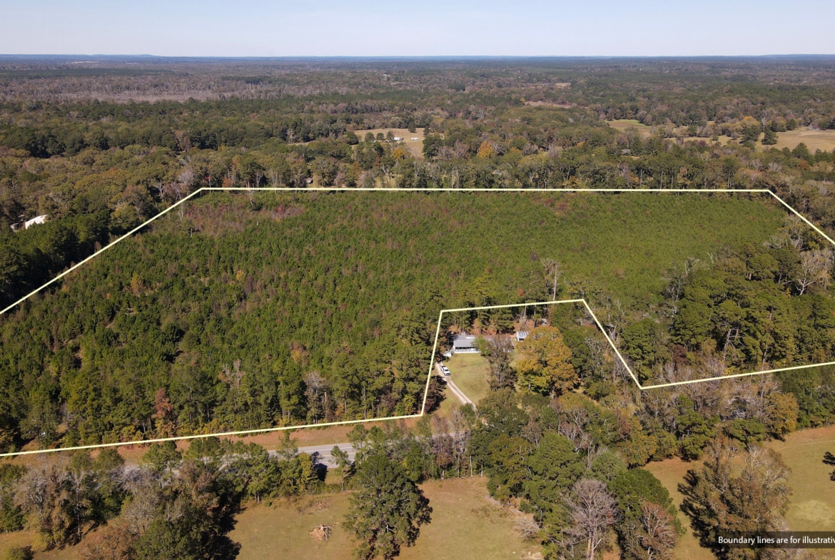 Hwy 103 - 36.93 Acres of land for sale in San Augustine County, TX
