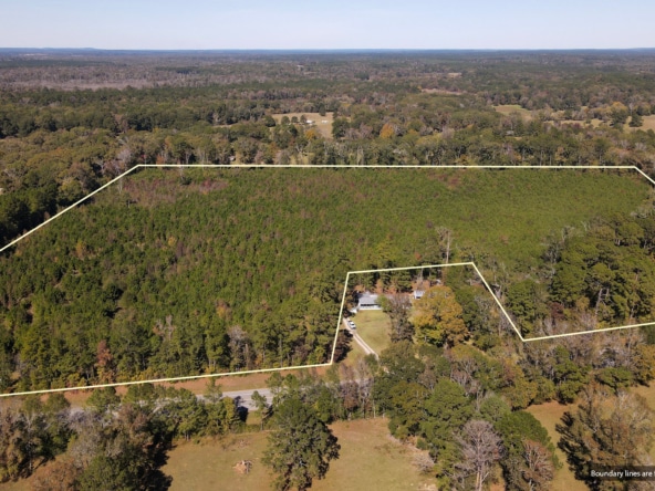 Hwy 103 - 36.93 Acres of land for sale in San Augustine County, TX